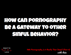 Pornography…Is it Really That Deep? (Part 4)